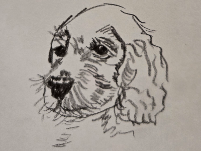 Foundations of Drawing