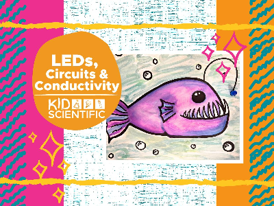 STEM CLUB: LED's, Circuits & Connectivity Weekly Class (5-12 Years)